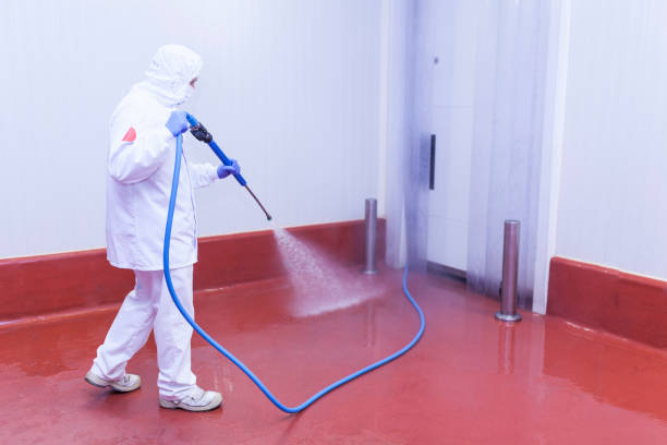 Best Graffiti Removal Services in Doolittle, TX