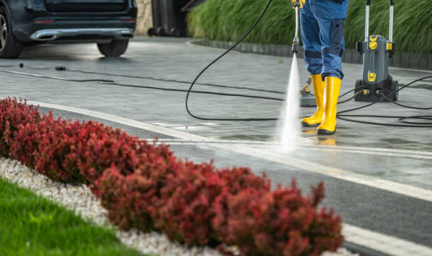 Best Roof Cleaning and Mildew Removal in Doolittle, TX